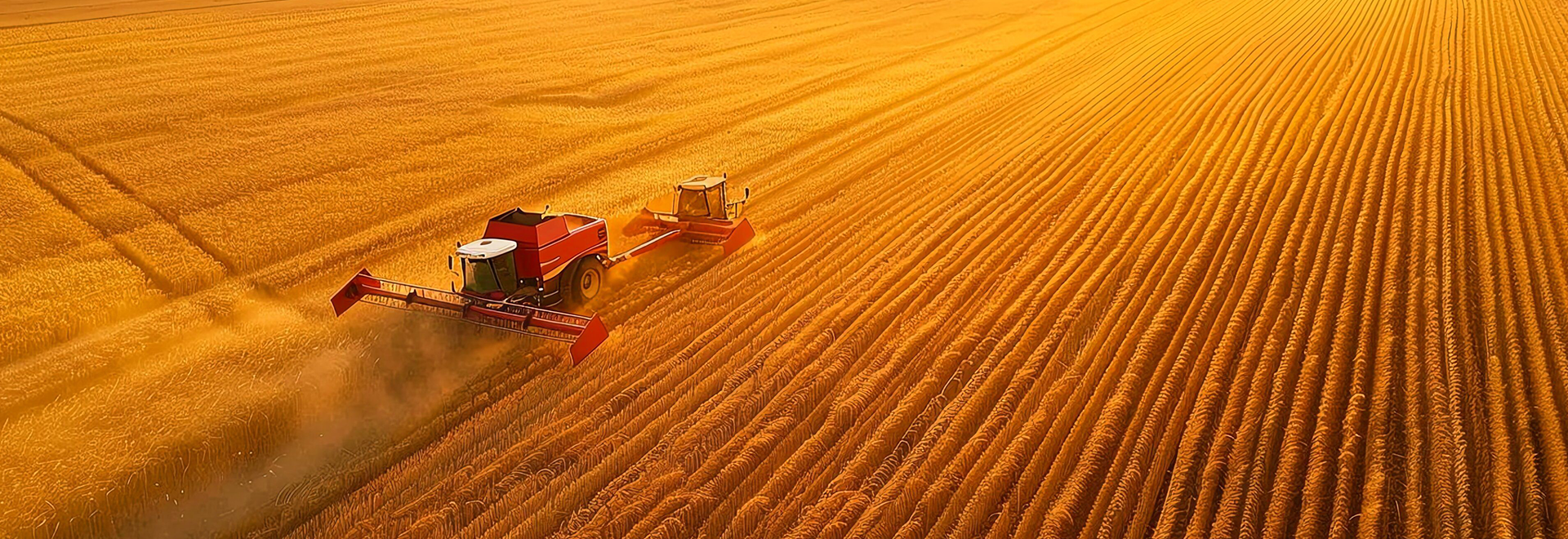 上海伯翱機(jī)械設(shè)備有限公司